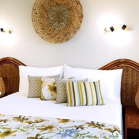 Alegria Cartago Nova 3*